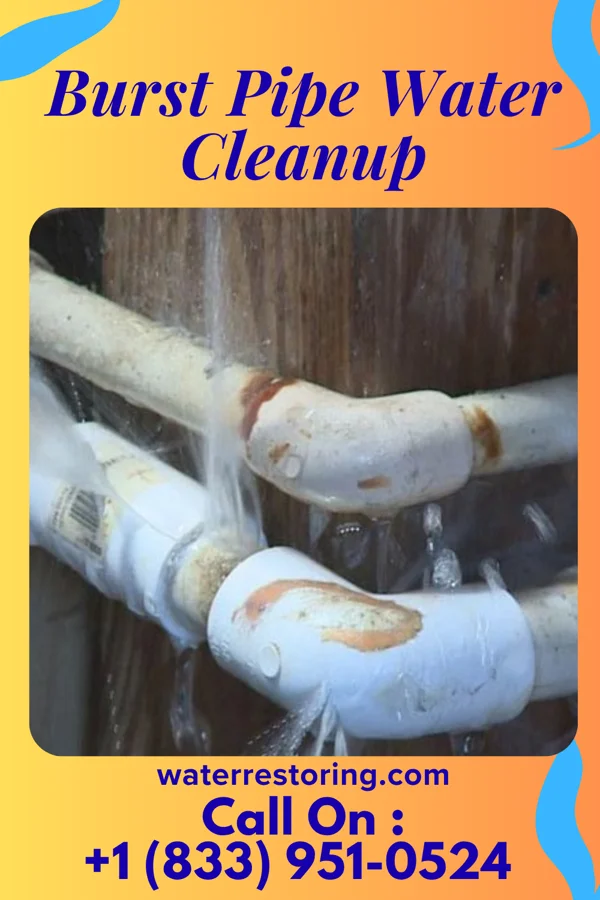 Burst Pipe Water Cleanup in Fulton, TX