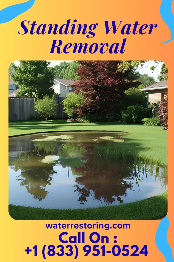 Standing Water Removal in Fulton, TX